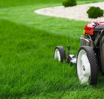 Gardening Clean Up